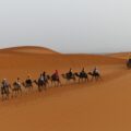 Camel Trekking in the Moroccan Sahara: A Desert Adventure