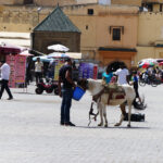 Exploring Meknes