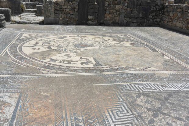 Mosaics of Volubilis